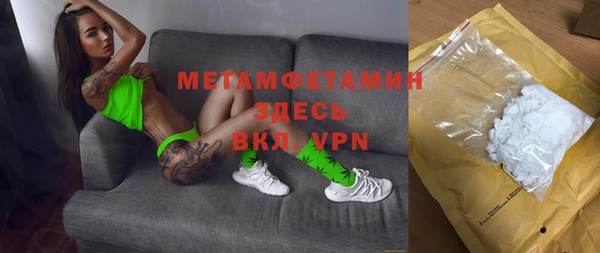 индика Гусь-Хрустальный
