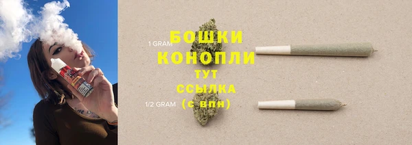 дурь Дмитриев