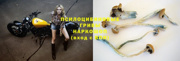 спиды Навашино