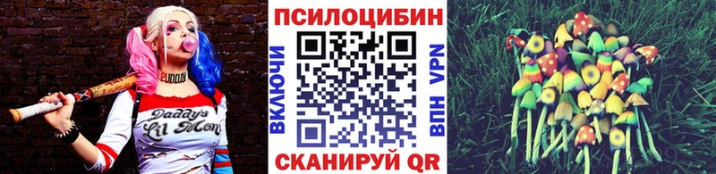 Псилоцибиновые грибы Magic Shrooms  Новая Ладога 
