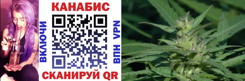 как найти наркотики  Новая Ладога  shop наркотические препараты  Бошки марихуана OG Kush 